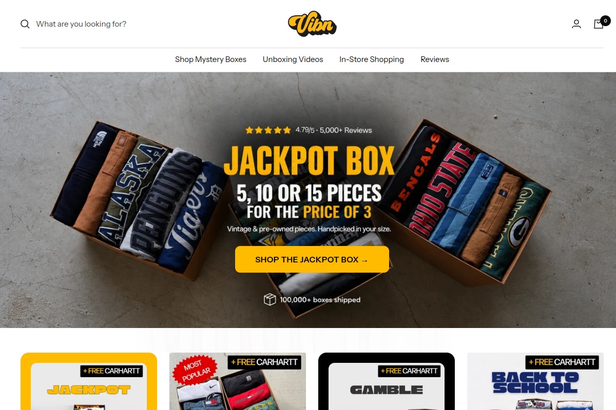 Vibn homepage preview